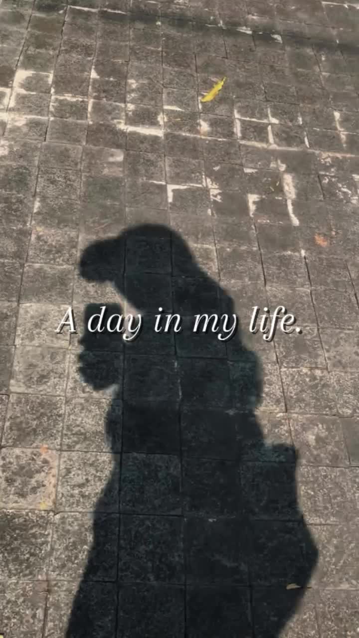 a-day-in-my-life_2.mp4