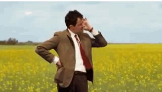 mr bean waiting